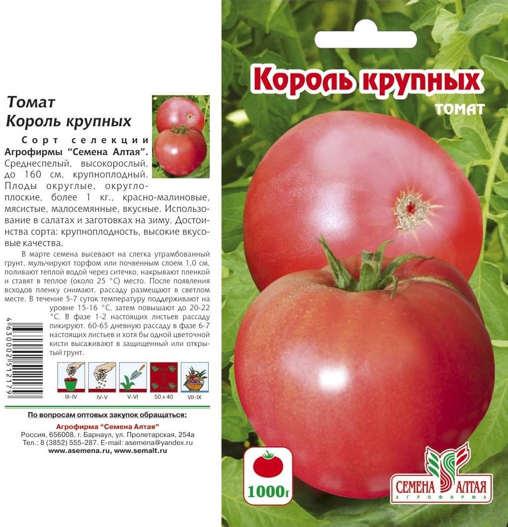 Сорт томатов «король красоты»: отзывы, описание, характеристика, урожайность, фото и видео
