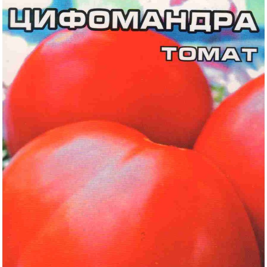 Томат цифомандра: характеристика и описание сорта, отзывы, фото, кто сажал