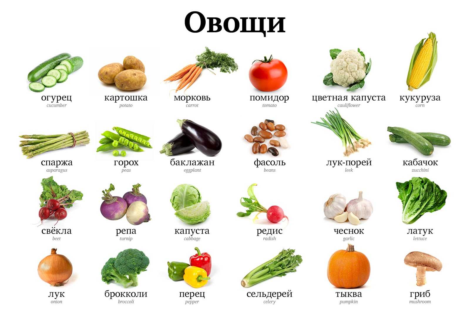 Классификация овощных культур на огороде