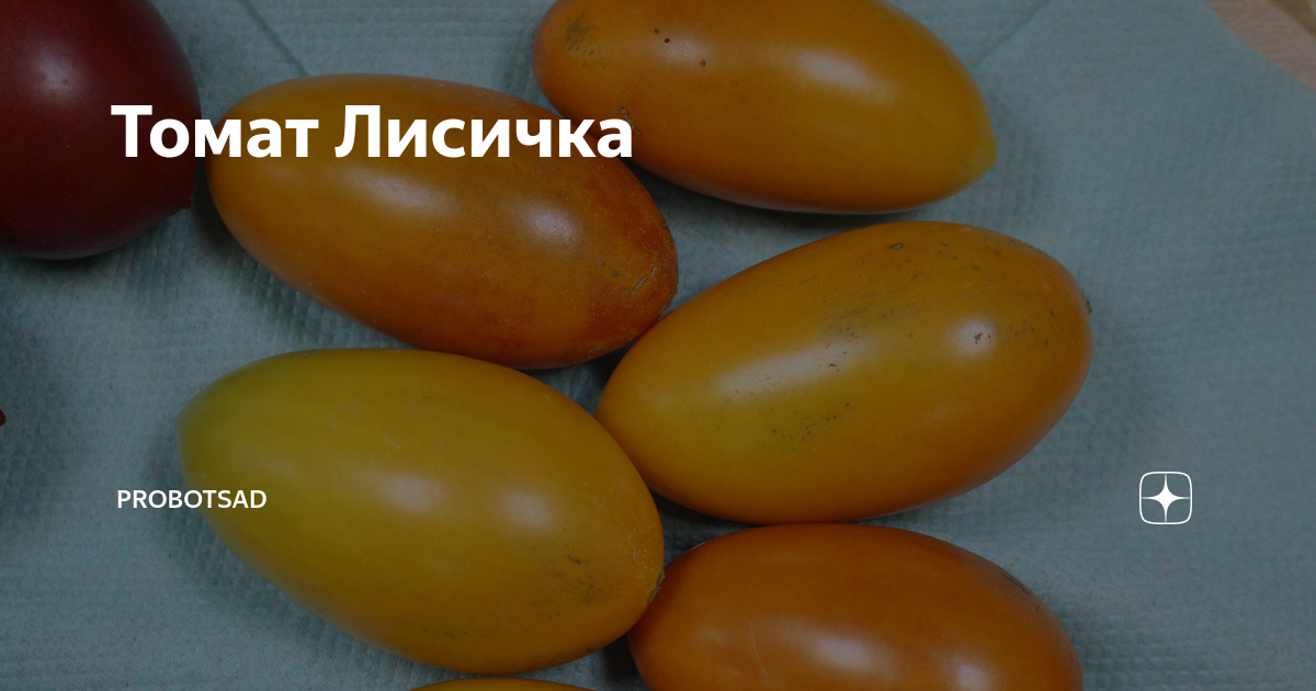 27 сортов низкорослых помидоров не требующих пасынкования
