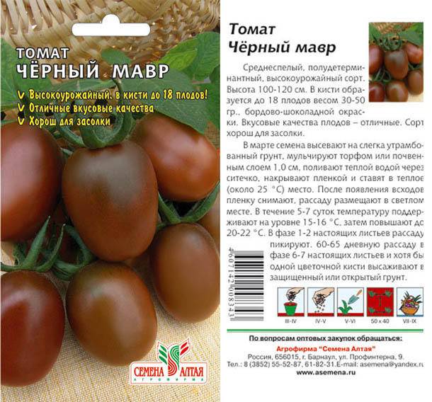 Плоды, редко подверженные болезням — томат морковный: полное описание сорта