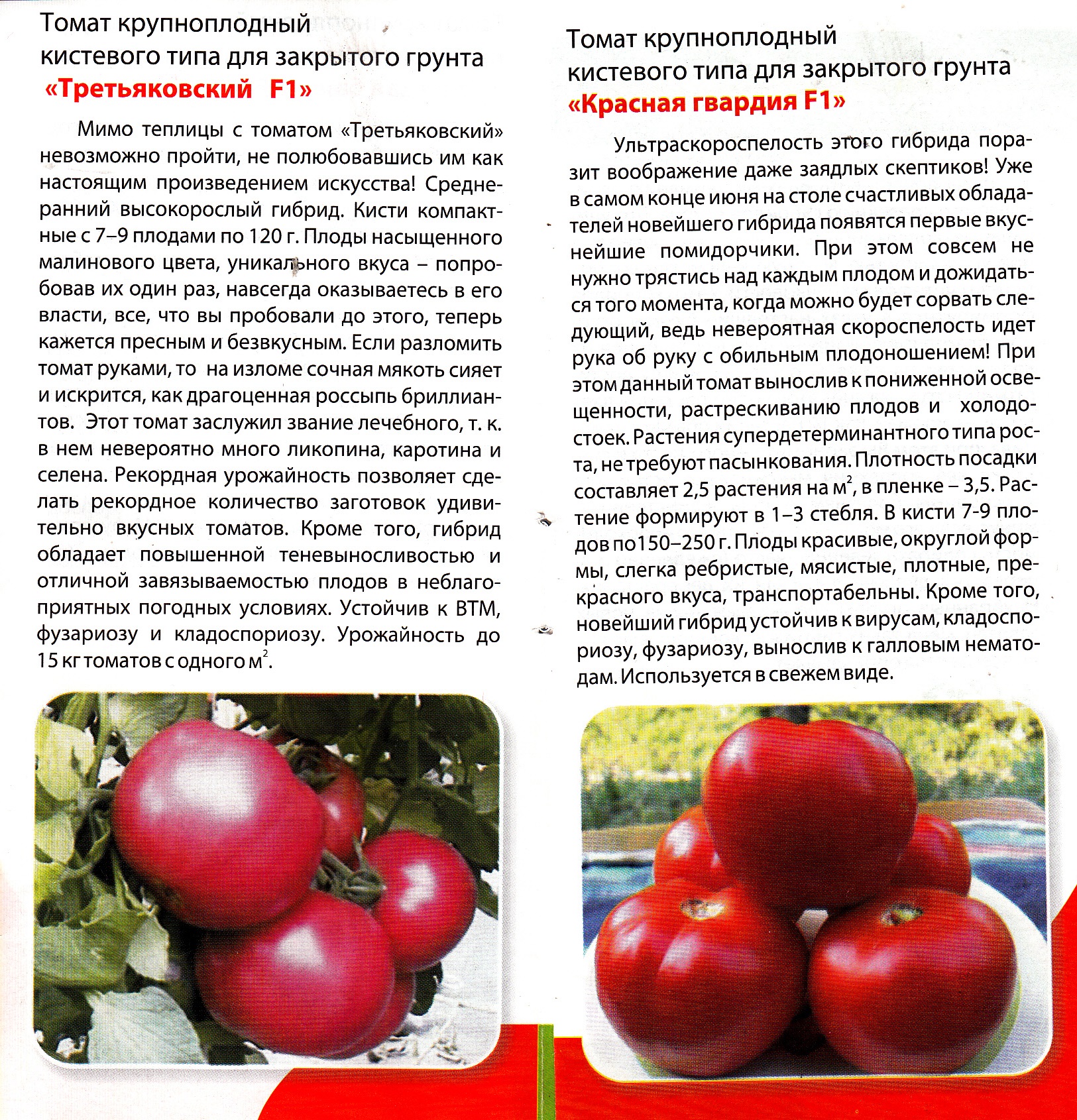 Томат невский