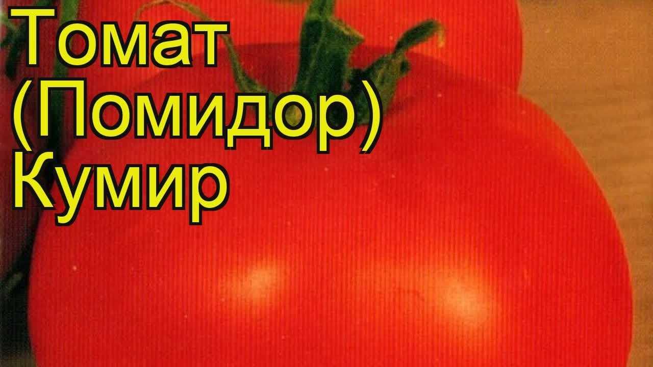 Завоевавший сердца многих огородников