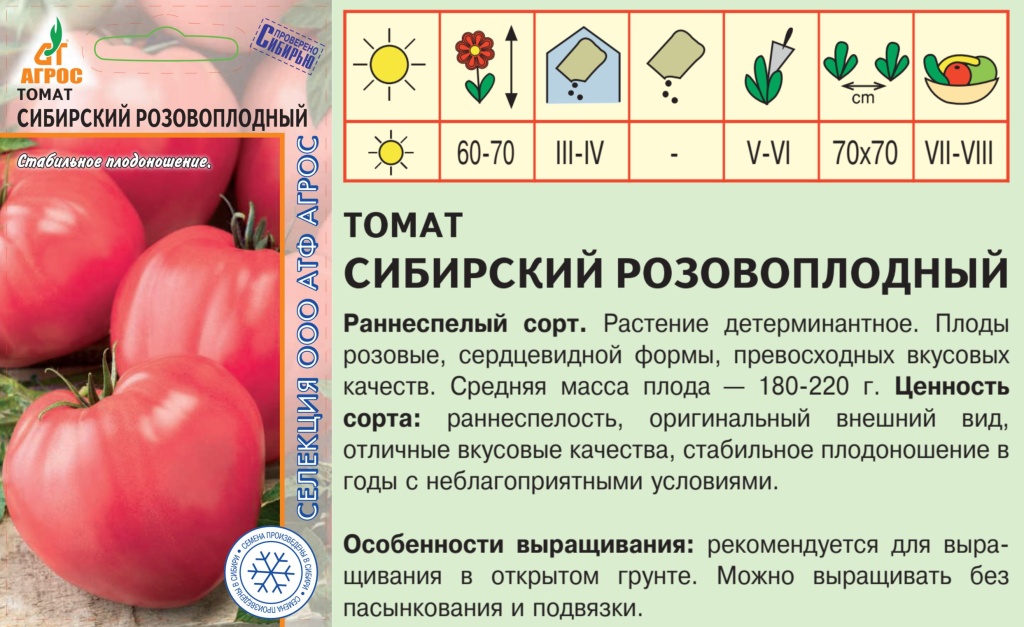 Сорт помидор сибирский скороспелый