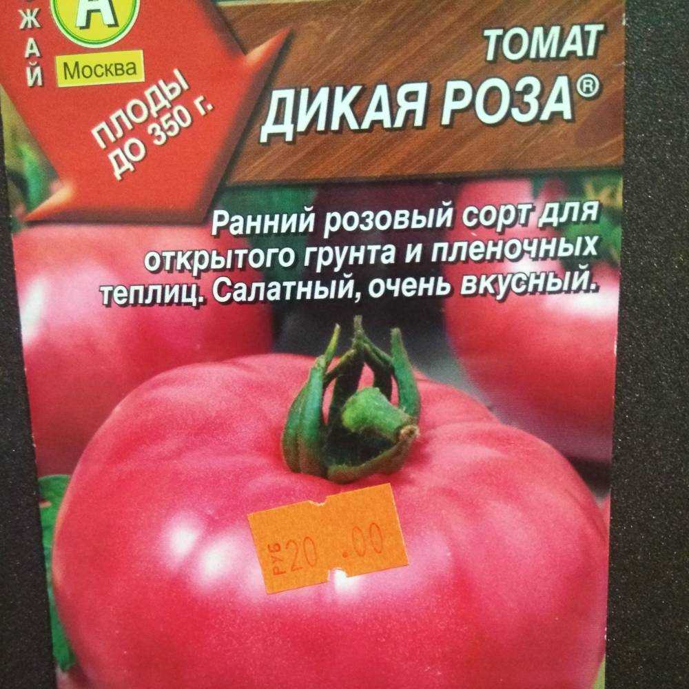 Отзывы тех, кто сажал Характеристика сорта Дикая роза Высокорослый крупноплодный томат для теплиц Плоды мясистые, отличного вкуса Урожайность: до 3,5 кг плодов с 1 растения при соблюдении агротехники