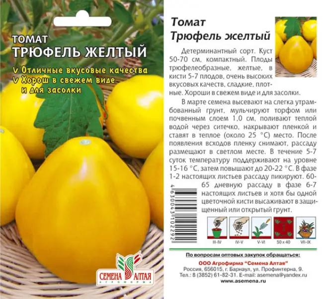 Описание и характеристика сорта Трюфель желтый Среднеспелый, урожайный сорт томата для теплиц и открытого грунта Купить семена томата Трюфель желтый