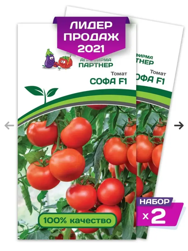 Томат софа · мой огород