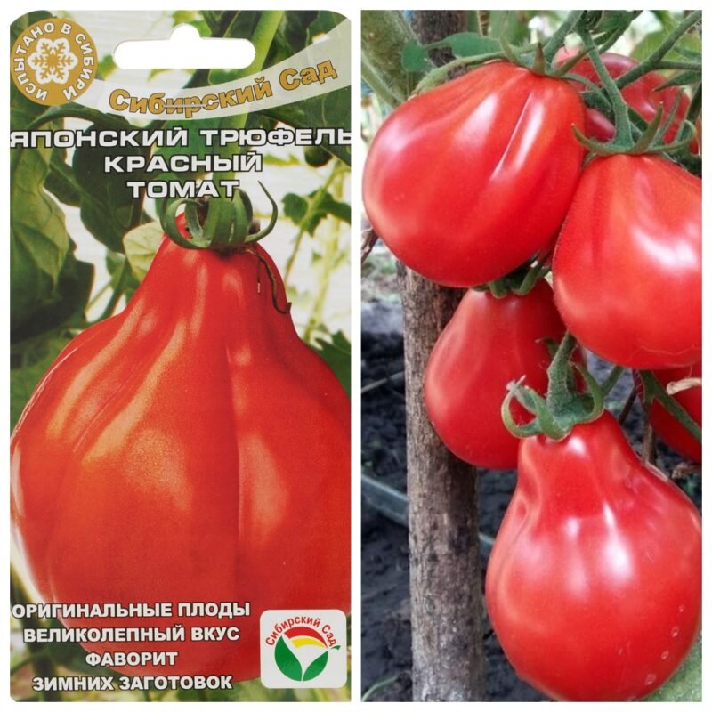 Характеристика и описание томата сорта «японский трюфель»: фото, видео + отзывы