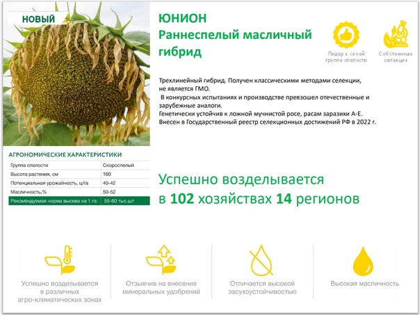 Новые, современные сорта в реестре селекционных достижений за 2021 год. блог компании. интернет-магазин уральский дачник