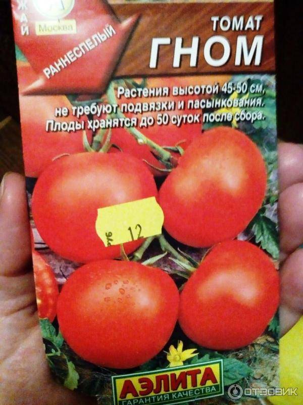 Томат гном: описание сорта, его разновидностей