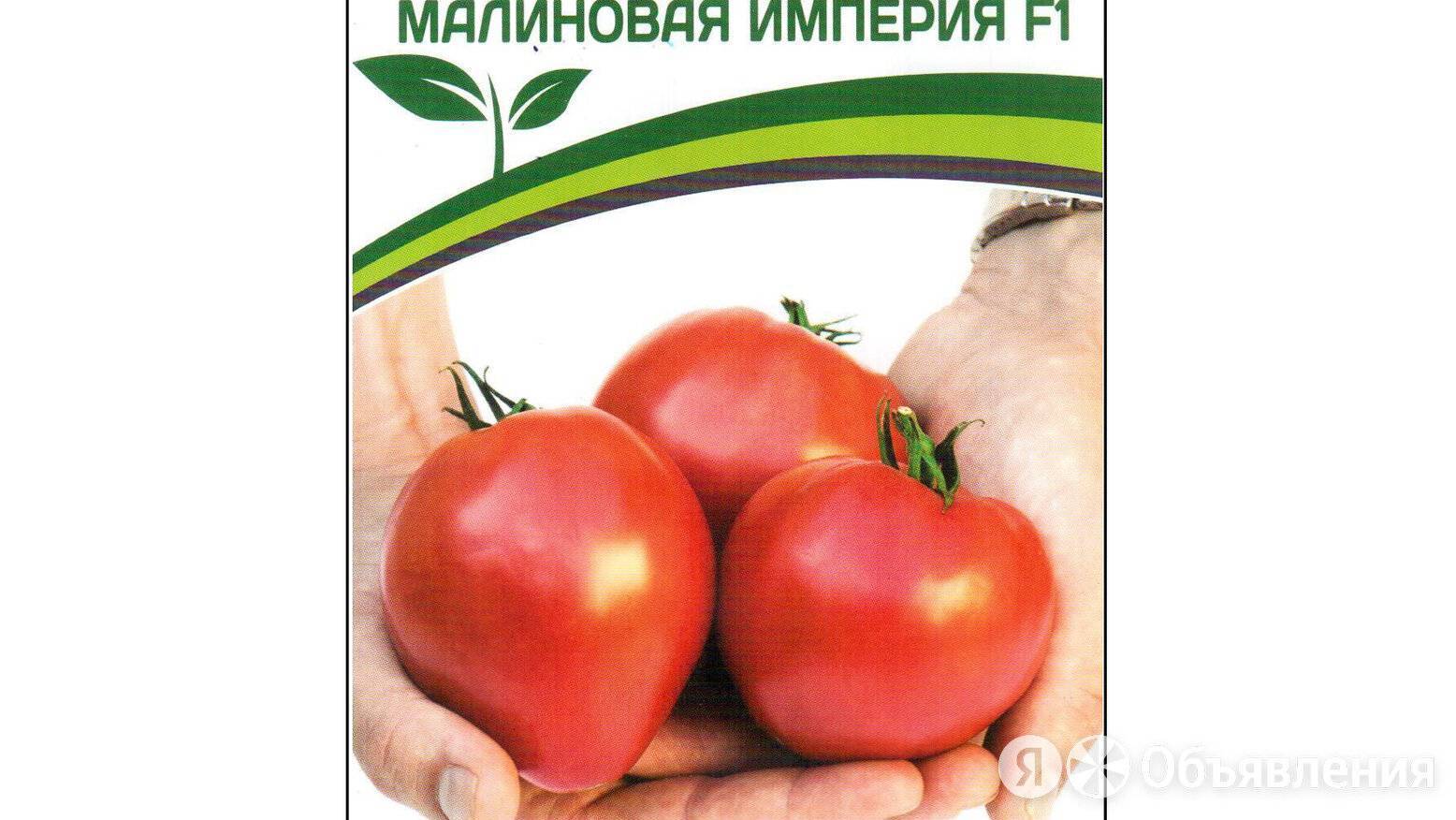 Помидоры герцогиня вкуса отзывы - обзортека