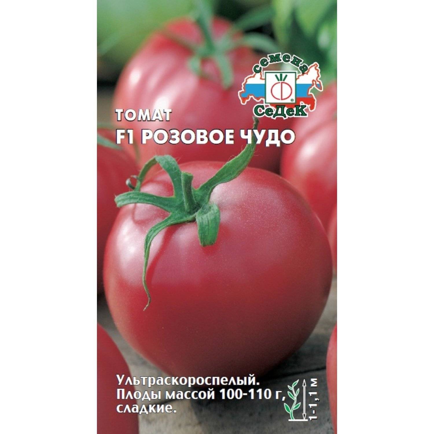 Помидоры "розовое чудо": описание сорта, отзывы, фото, кто сажал