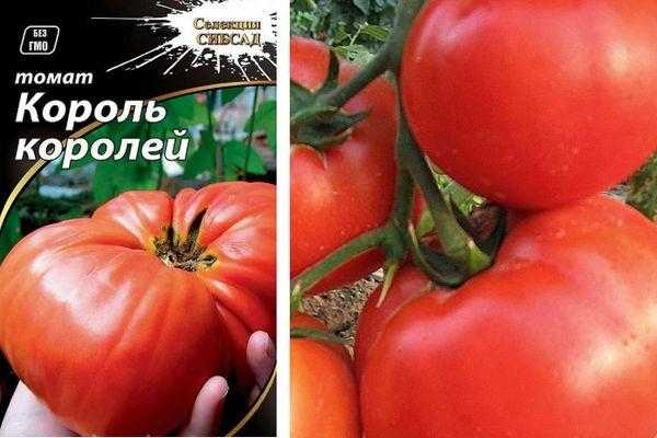 ᐉ томат король кинг характеристика и описание сорта - zooshop-76.ru