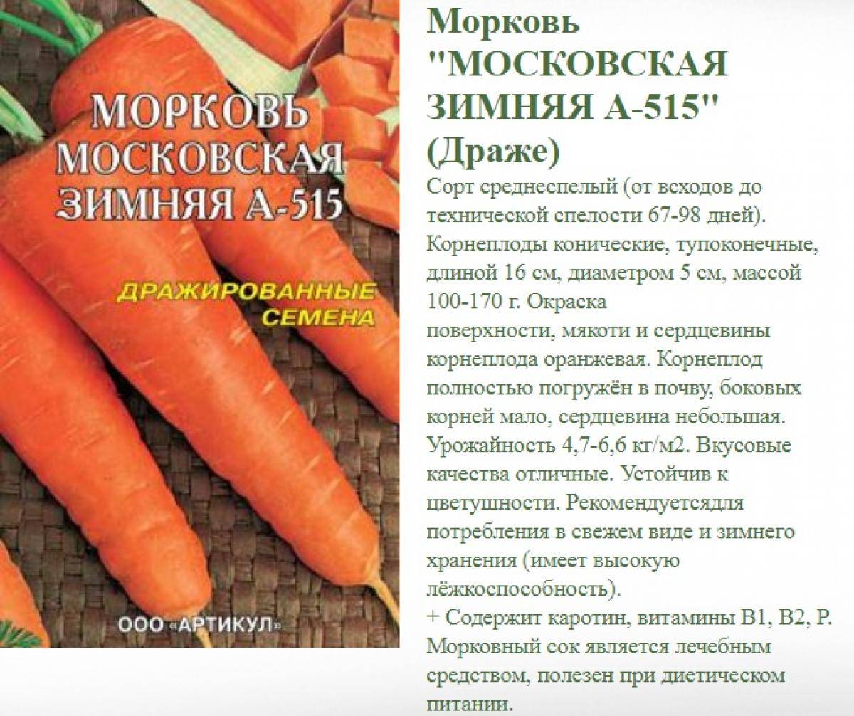Морковь – 75 сортов 2024: описание с фото