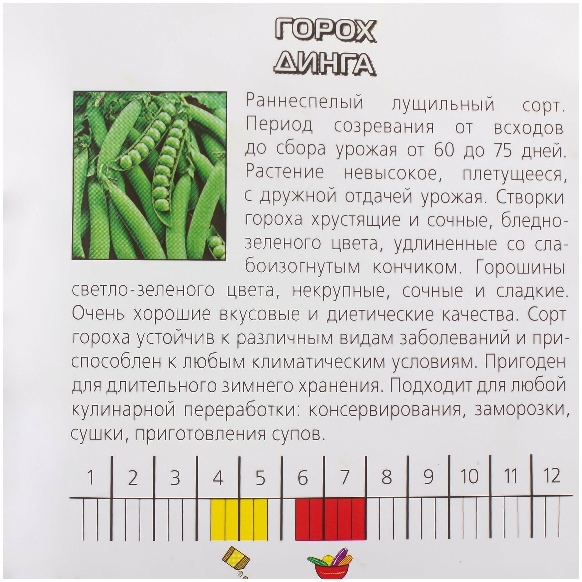Сорта гороха: мозговой, лущильный, сладкий, крупный, скороспелый