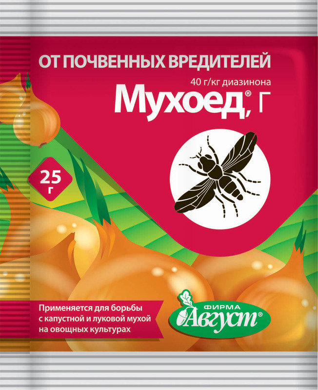 Луковая муха