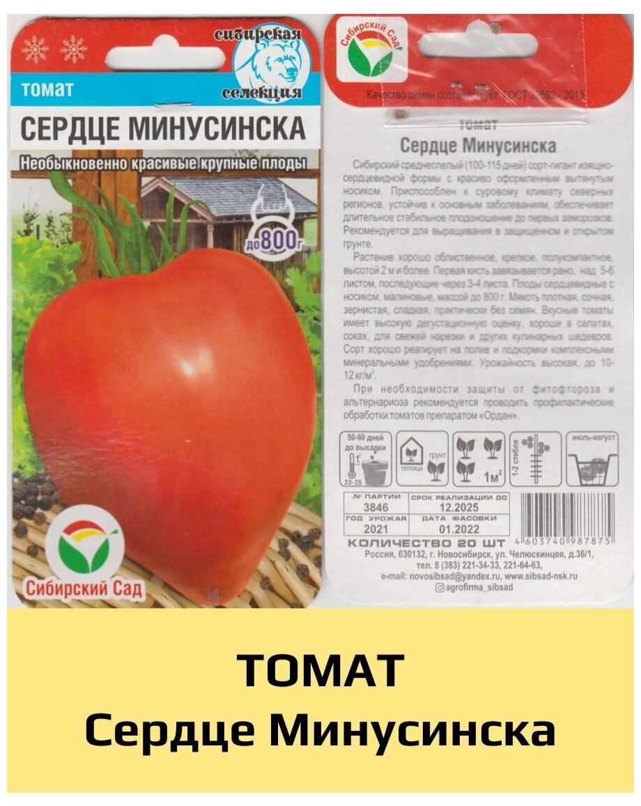 Всё о томате Минусинские плоские сердца с фото Отзывы тех, кто выращивал Высокорослый, среднего срока созревания, урожайный сорт томата для теплицы Высота куста до двух метров Формровать в 2 стебля