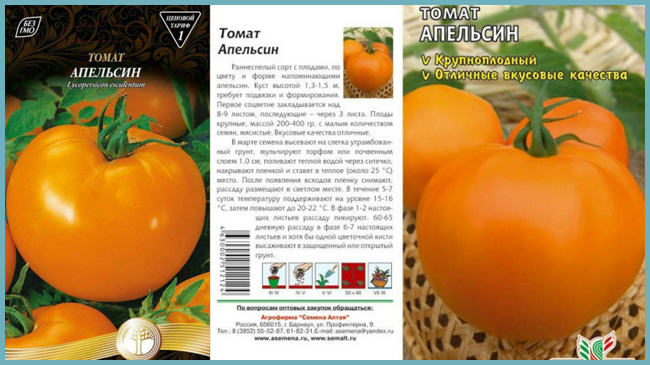 Томат апельсин: отзывы, фото, урожайность