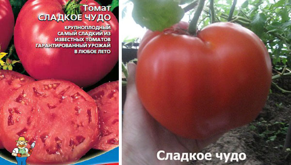 Томат «розовое чудо»: характеристика и описание сорта