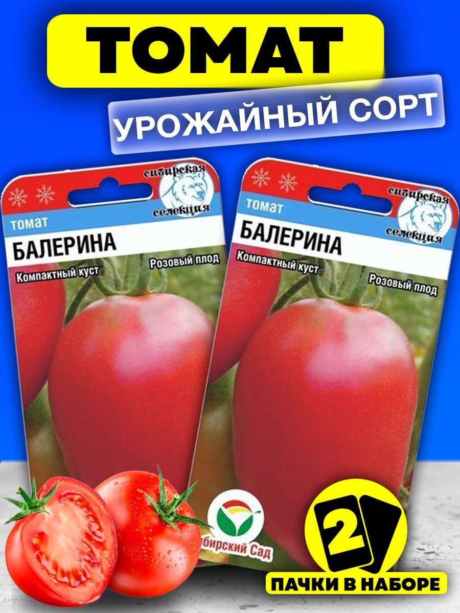 Лучшие сорта томатов (помидор) на 2024 год для теплиц и открытого грунта