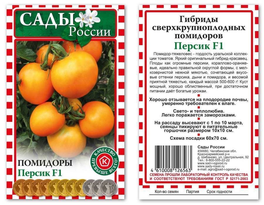 Характеристика и описание томата “раджа”