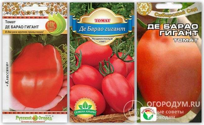 Яркий великан на вашей грядке — томат де барао гигант: полное описание сорта и его характеристики