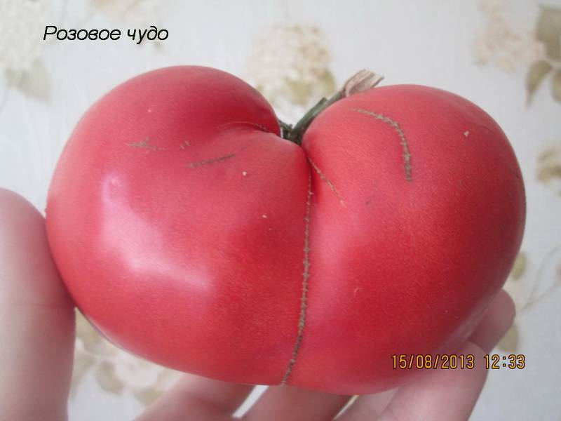 Томат розовое чудо