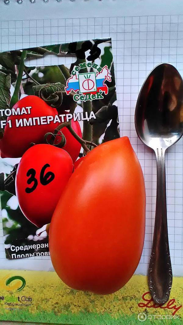 Описание и характеристика сорта томата императрица