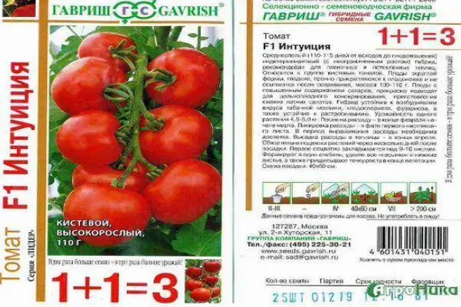 Описание и характеристики сортов зеленых помидоров, урожайность и выращивание