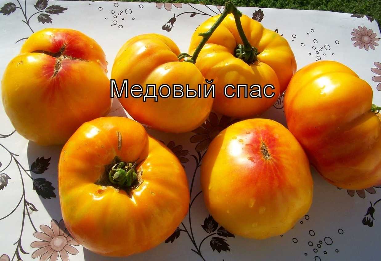 Томат медовый спас: характеристика и описание сорта, фото, отзывы, урожайность