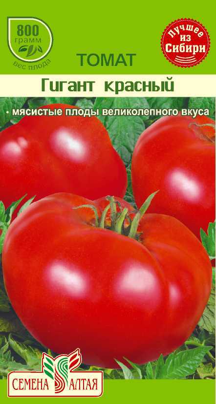 Томат розовый гигант: описание сорта и характеристики, урожайность, отзывы с фото