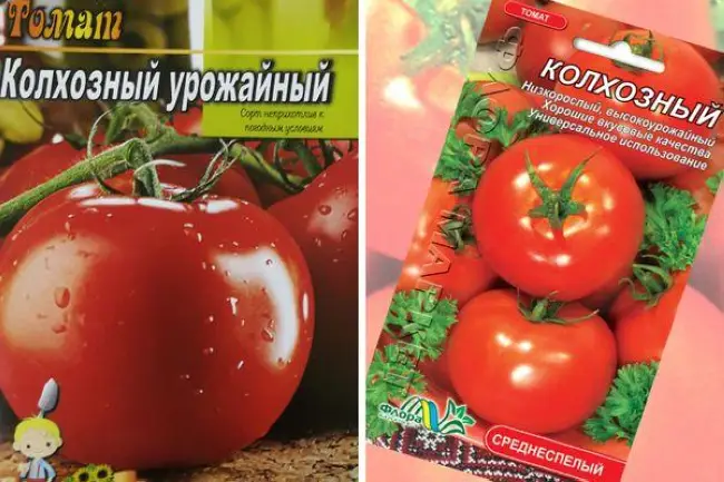 Томат колхозная королева: описание сорта, отзывы, фото
