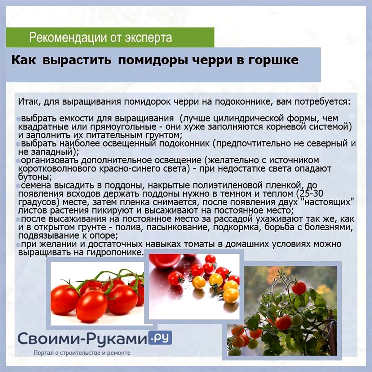 Помидоры для урала: описание 35 лучших сортов, фото и отзывы