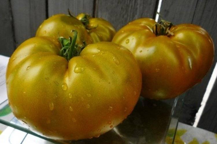 Томат лимонные полосы чероки отзывы фото