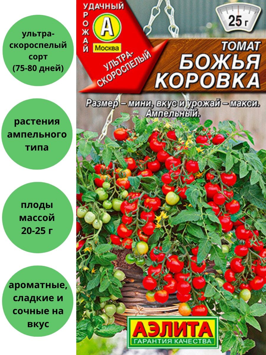 Томат божья коровка: характеристика и описание сорта, фото семян от фирмы аэлита, отзывы тех кто сажал и выращивал помидоры об их урожайности