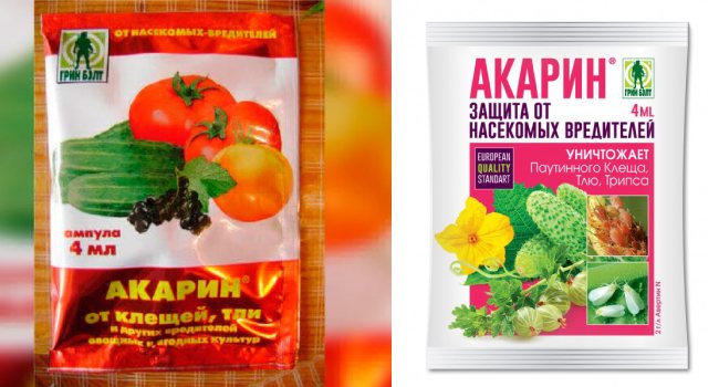 Акарин: инструкция по применению и отзывы о препарате, аналоги инсектицида, совместимость, состав, от каких вредителей помогает