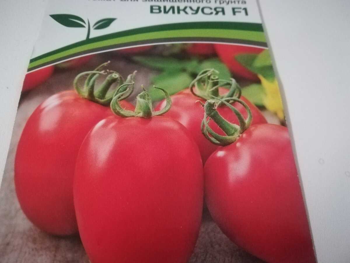 Лучшие сорта кистевых томатов для теплиц и открытого грунта. кистевые томаты: лучшие сорта, названия, описание с фото, правила ухода и урожайность