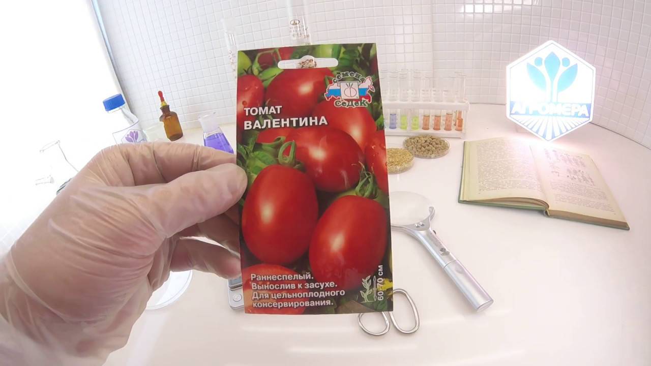 Томат валентинка: характеристика и описание сорта, отзывы об урожайности помидоров, фото плодов черри