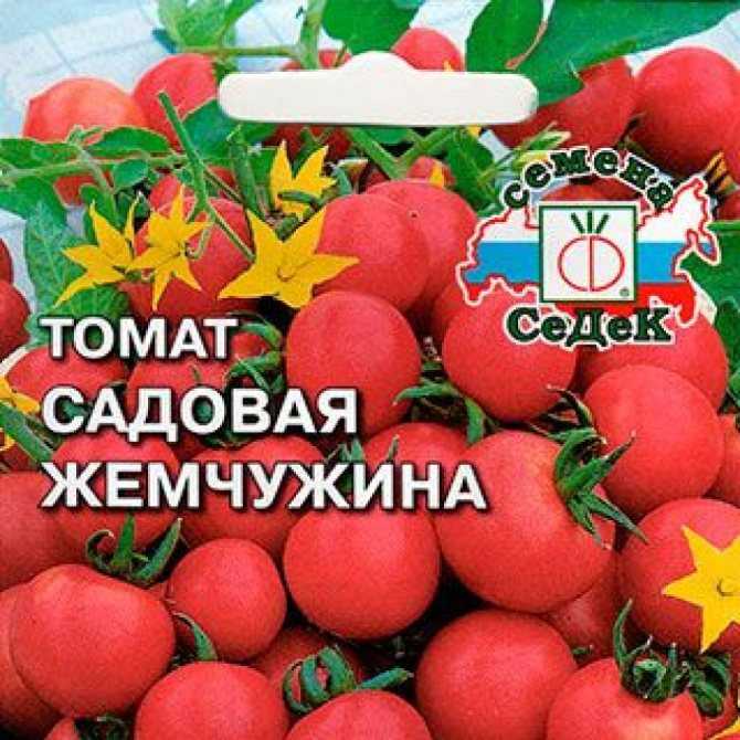 Томат садовая жемчужина мудрости, оранжевая, оахаки: характеристика и описание сортов, фото, отзывы