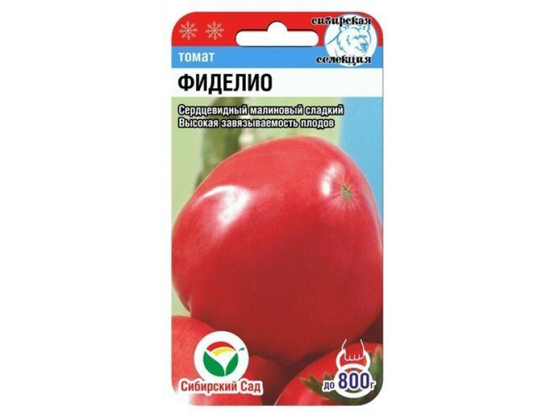 Томат фиделио: описание и характеристика сорта, фото, отзывы, урожайность