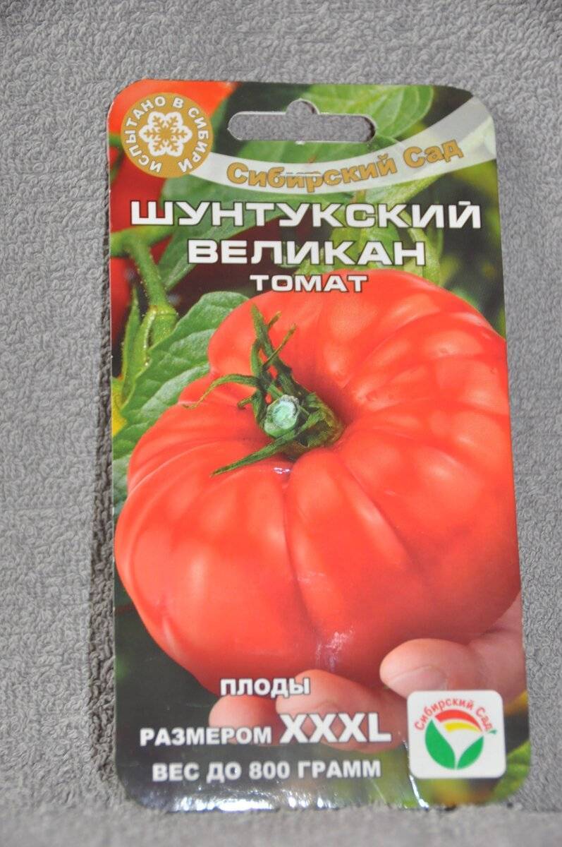 Томат шунтукский великан: описание сорта, отзывы (8), фото, урожайность | tomatland.ru