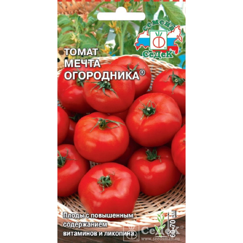 Томат мечта лентяя