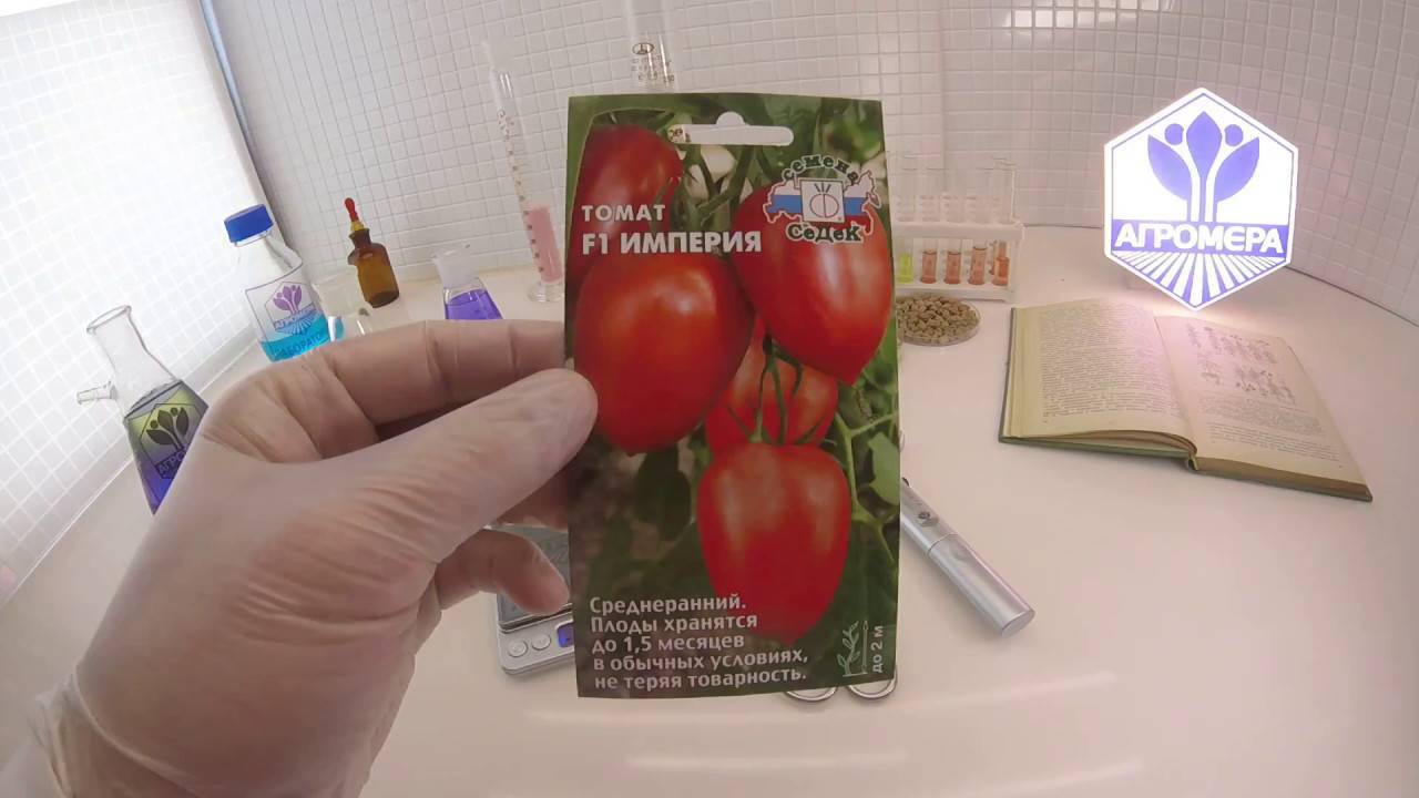 ✅ о томате империя (малиновая, русская): описание и характеристики, посадка и уход
