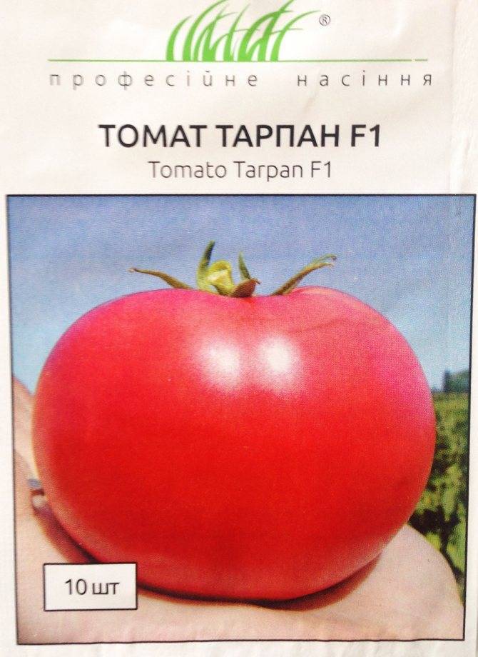 Описание томата тарпан: вкус, цвет, урожайность, назначение