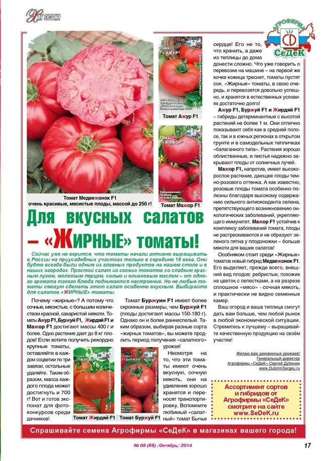 Томат жирдяй