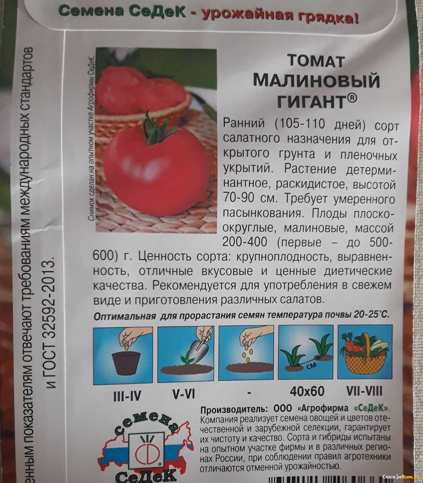 Самые крупные индетерминантные сорта помидоров с фото и описанием устойчивые к фитофторе