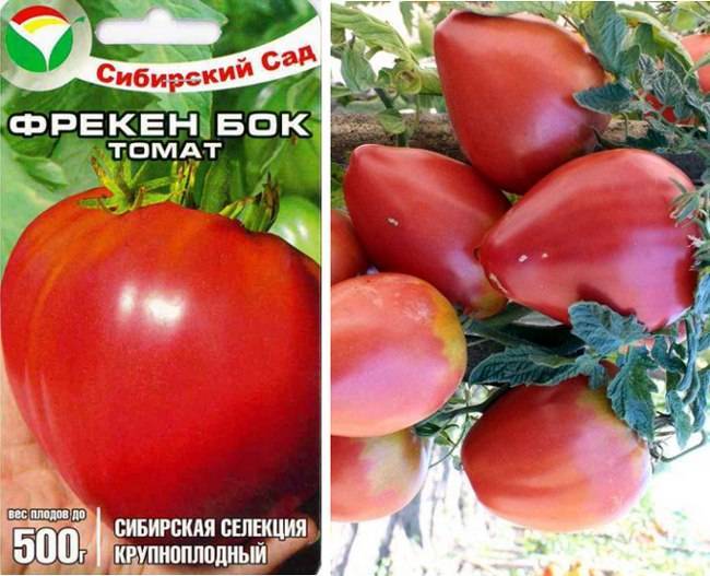 Всё о томате Фрекен Бок с фото Отзывы тех, кто сажал Высота 1,6, плоды крупные, в виде сердца, весом до 500 грамм Устойчив к фитофторе Хорош для Сибири и Урала