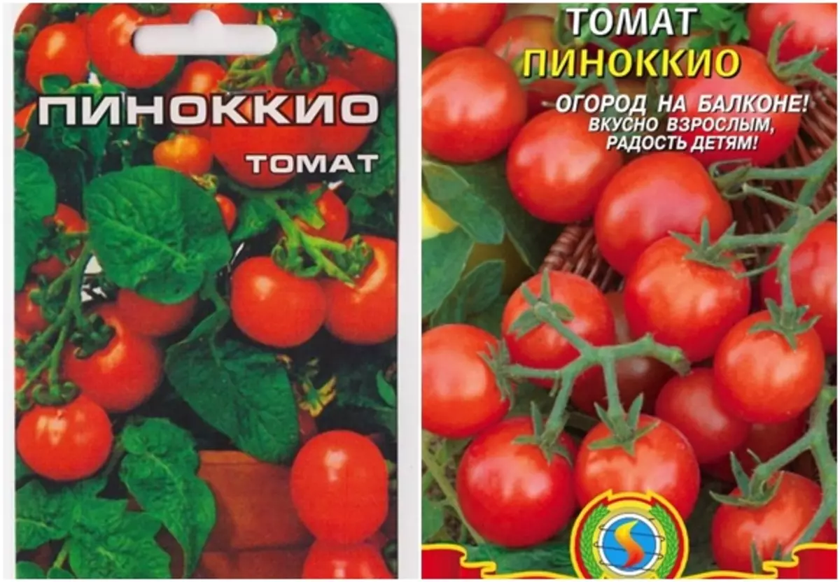 Томат пиноккио: описание и характеристика сорта, уход и выращивание