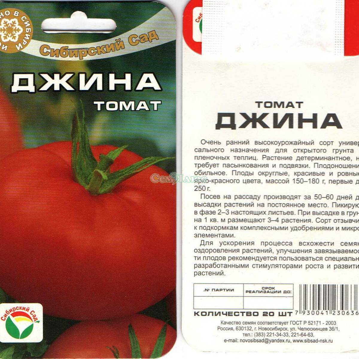 Лучшие томаты сибирской селекции: очень урожайные для теплиц и открытого грунта