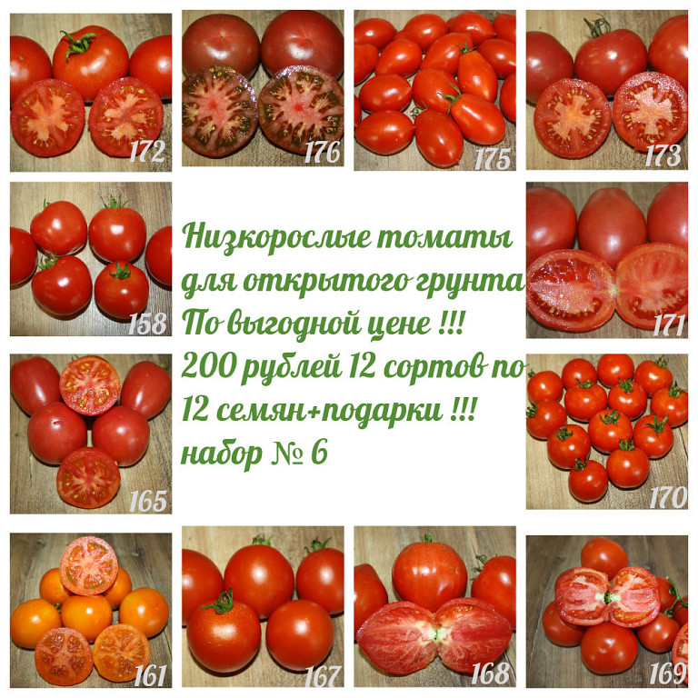 Минусинские сорта томатов с фото и описанием отзывы садоводов